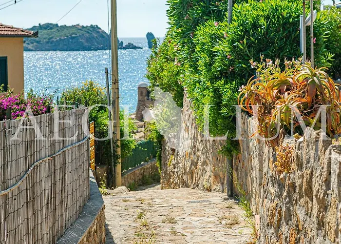 Silva Апартаменты