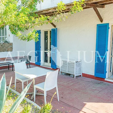 Silva Apartment